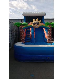 17' Paradise Wet Dry slide - 21585